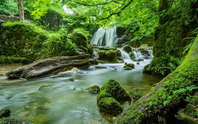 高标准高端智慧